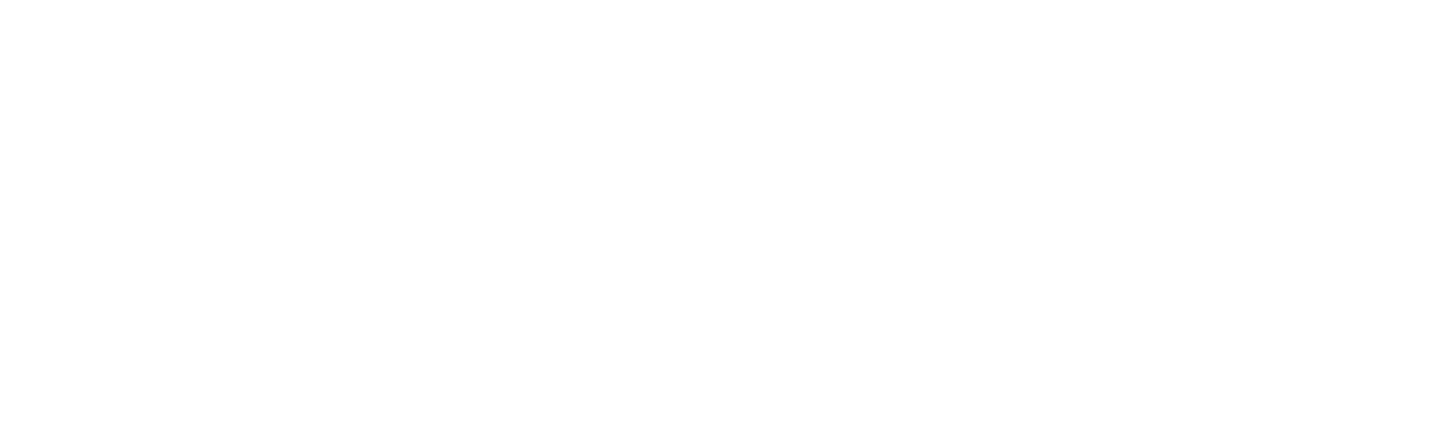 Integrity Investments Management Co